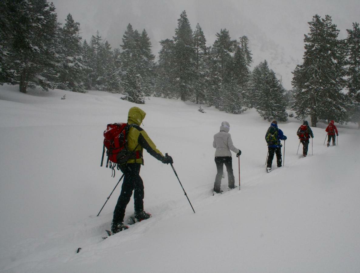 טרמפ Amaroq Explorers Basecamp מראה חיצוני תמונה